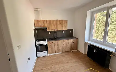Pronájem bytu 1+1 32 m², Ruská, Dubí, okres Teplice