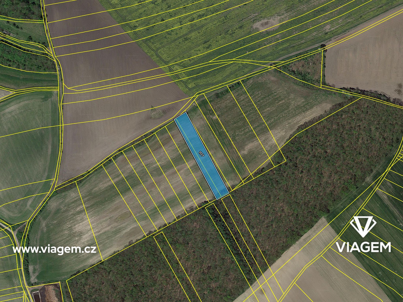 Pole 3 334 m², Podíl 25 % o výměře 834 m² – pohled 4