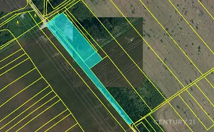 Prodej pole 10 318 m², Hrušky, okres Břeclav
