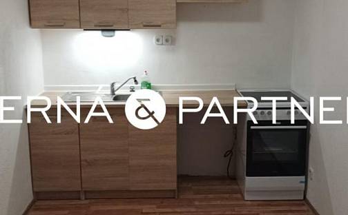 Pronájem bytu 1+1 37 m², Lobendavská, Dolní Poustevna, okres Děčín