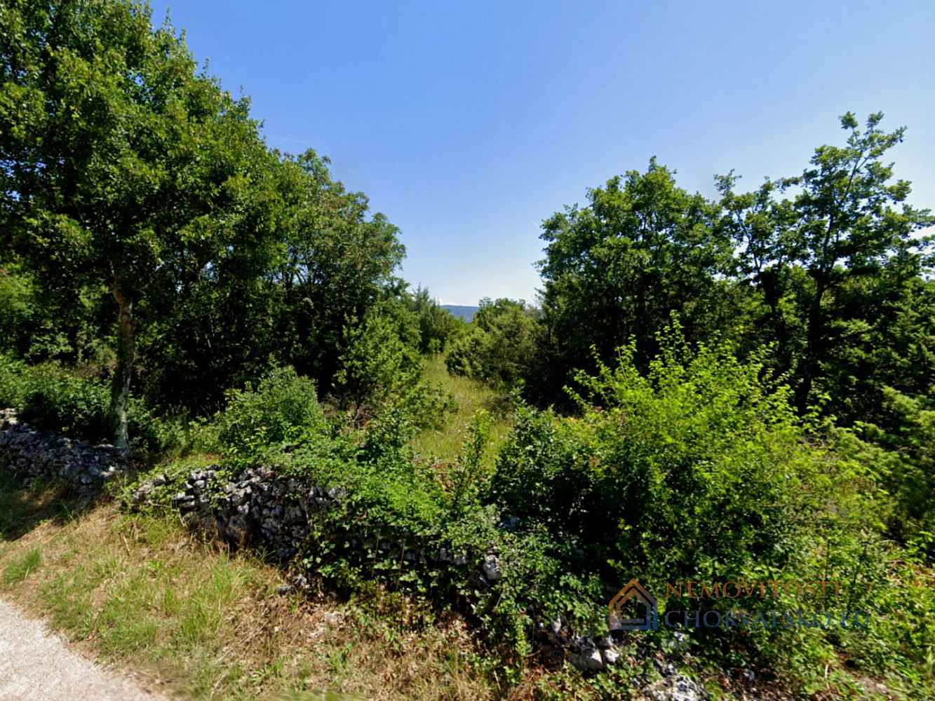 Prodej stavebního pozemku 1 253 m² - Widok 5
