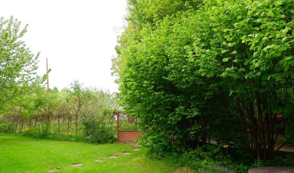 Prodej chaty/chalupy 136 m² s pozemkem 535 m², Dobříš – náhled fotky 6