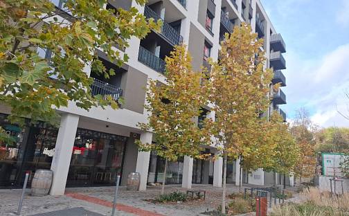 Prodej bytu 3+kk 77 m², Olgy Havlové, Praha 3 - Žižkov