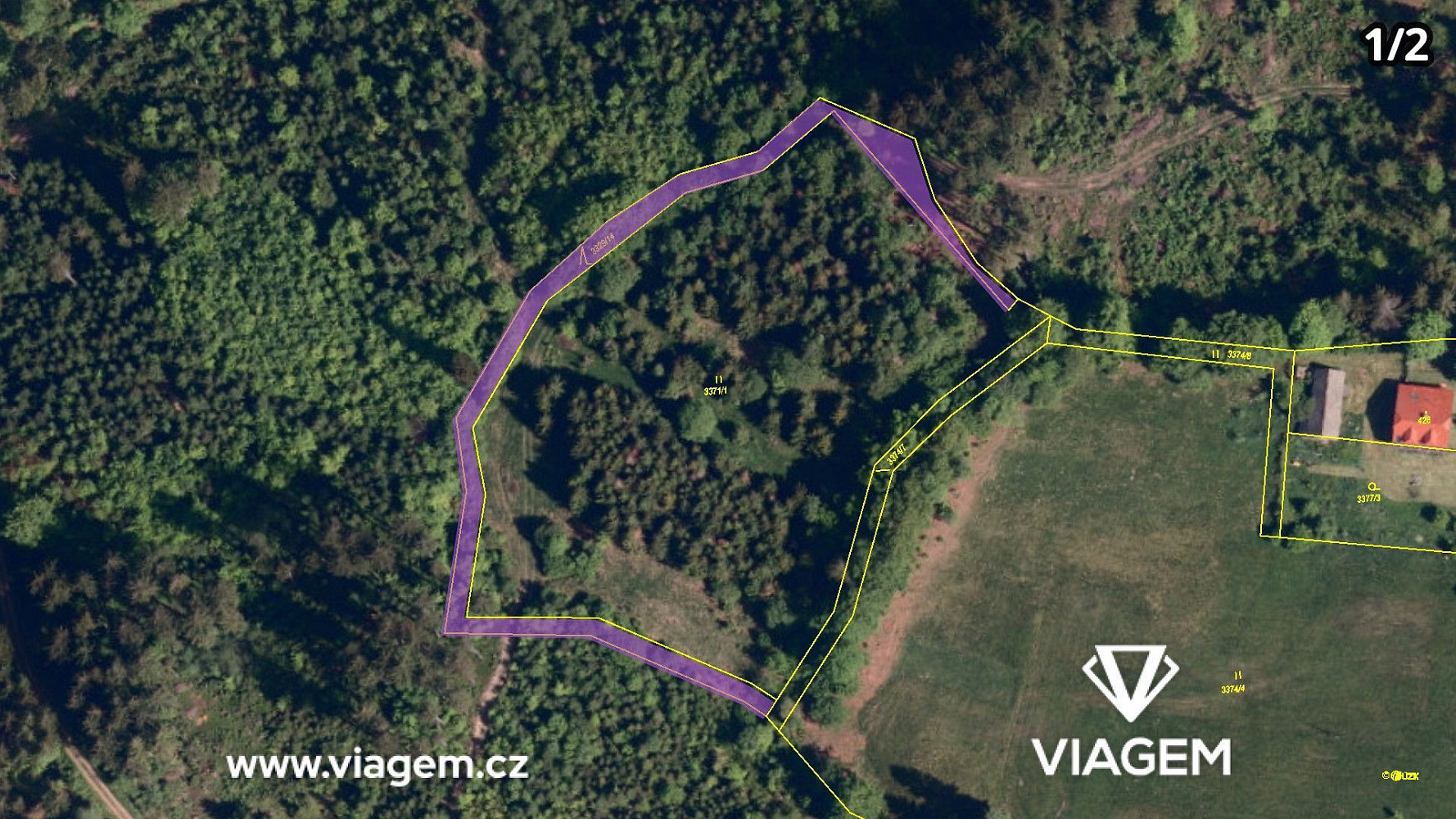 Prodej lesa 4 836 m² – fotografie 4