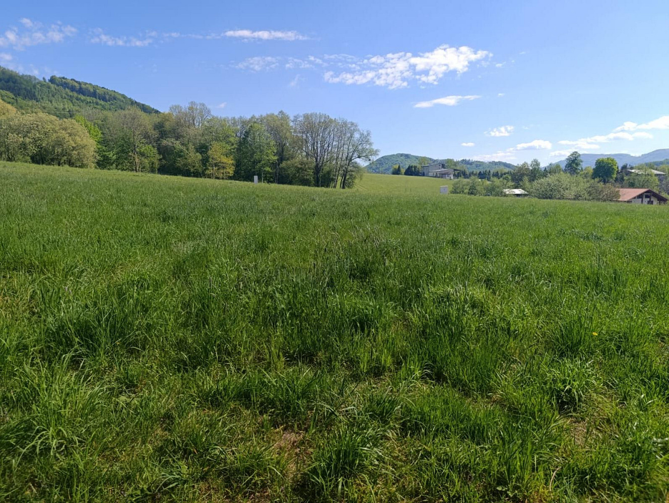 Prodej stavebního pozemku 1 480 m² – fotografie 5