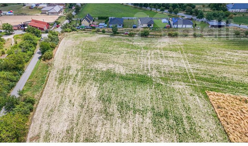 Prodej stavebního pozemku 4 773 m², Skorkov – náhled fotky 5