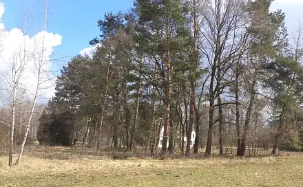 Dražba louky 117 m², Lužnice
