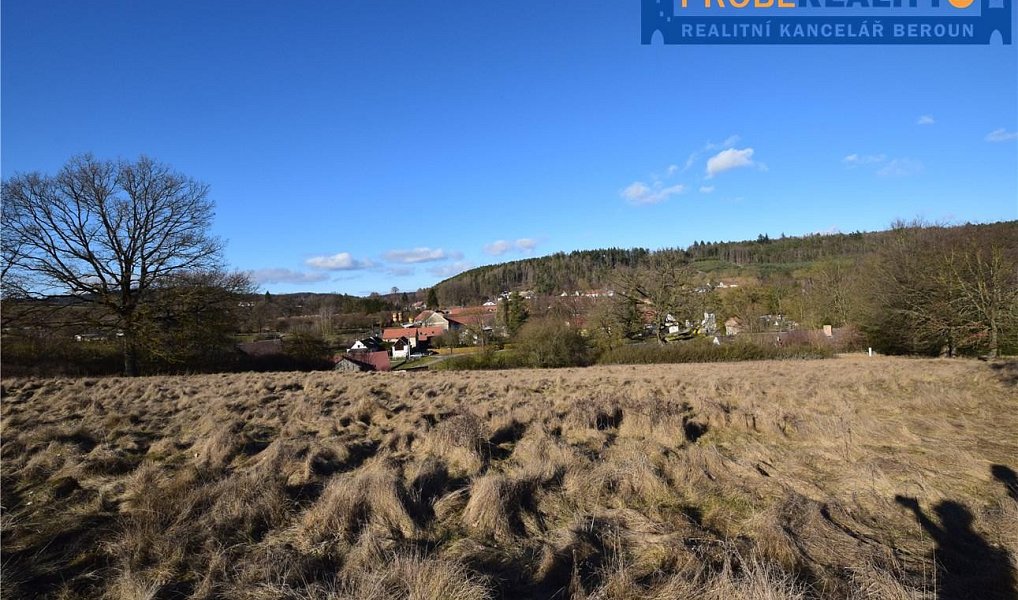 Prodej stavebního pozemku 9 991 m², Mirotice – náhled fotky 2