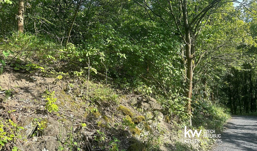 Prodej pozemku 22 760 m², Bílina – náhled fotky 7
