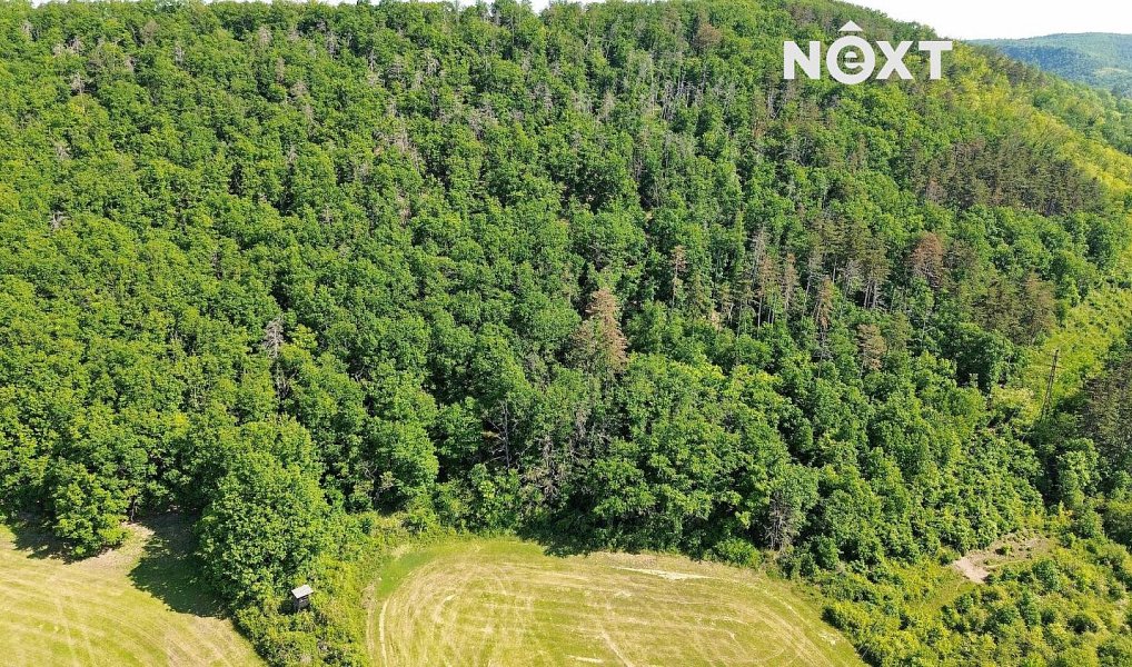 Prodej lesa 3 149 m², Chrustenice – náhled fotky 7