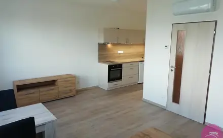 Pronájem bytu 1+kk 30 m², Týnecká, Olomouc - Holice