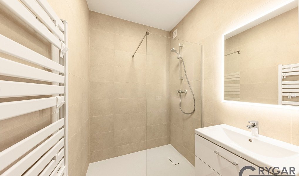Prodej bytu 1+1 55 m², Praha – náhled fotky 6