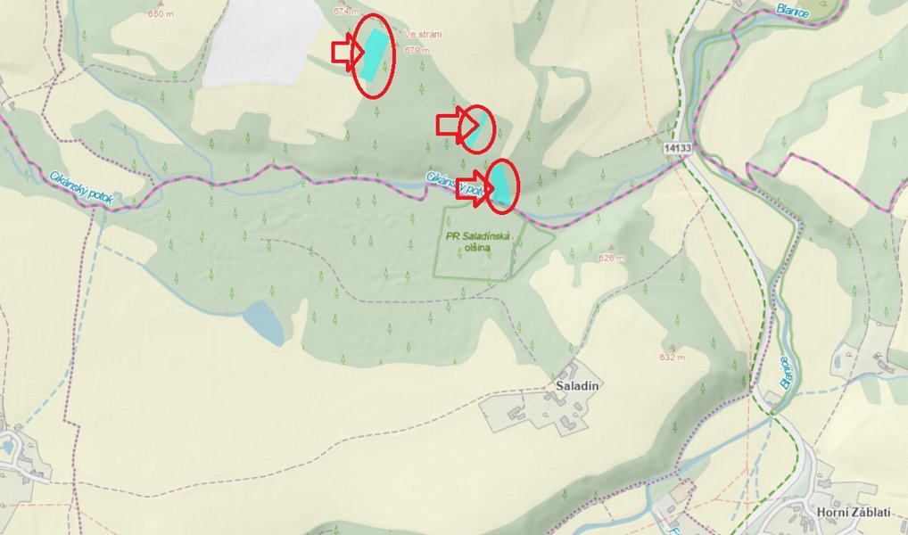 Prodej lesa 6 930 m², Drnovice – náhled fotky 7
