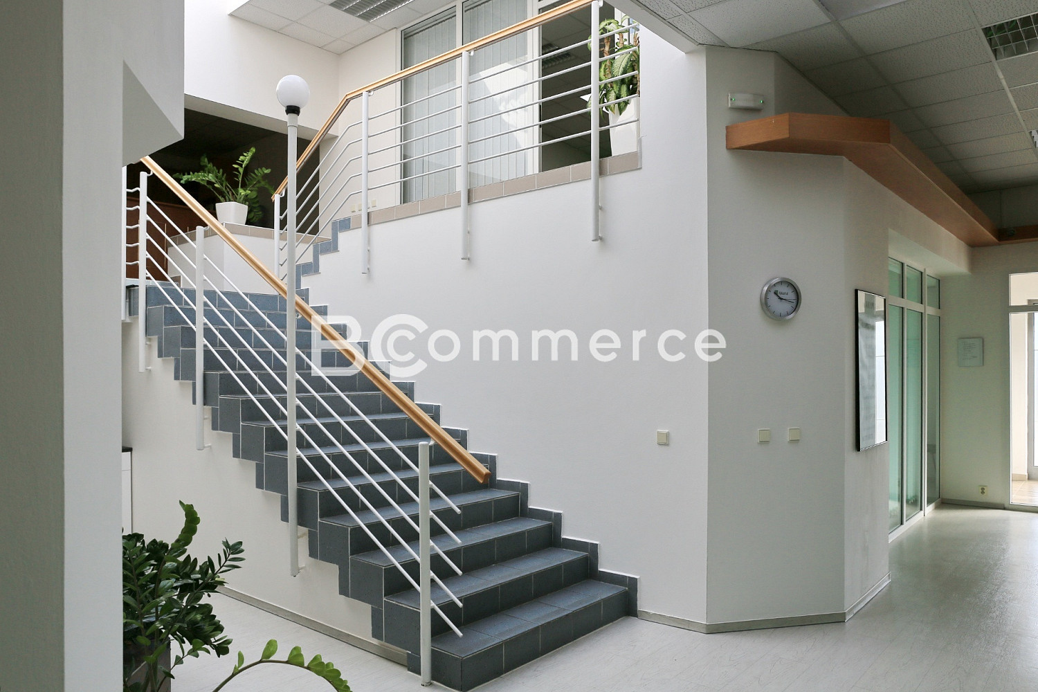 Pronájem kanceláře 504 m² — photo 3