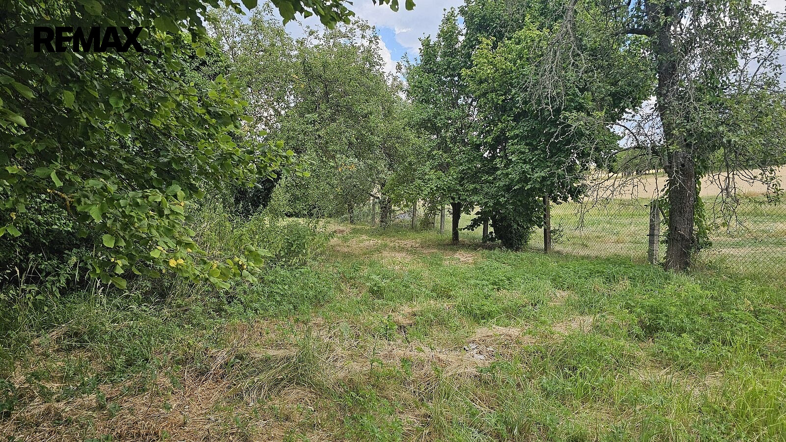 Fotka 18 z 29