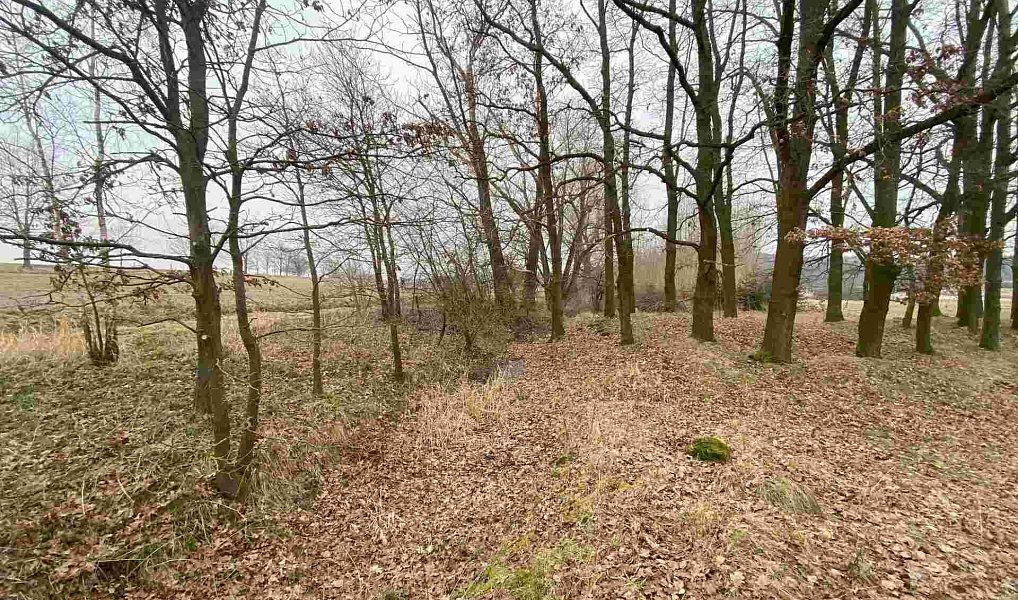Prodej pozemku 2 121 m², Drahonice – náhled fotky 3