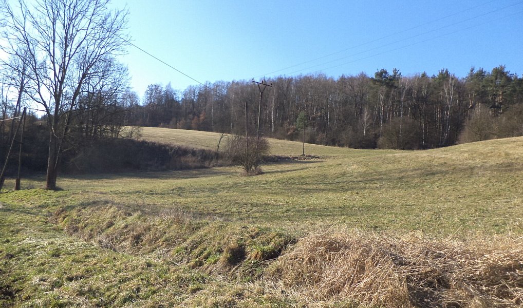 Prodej pozemku 3 430 m², Úštěk – náhled fotky 2