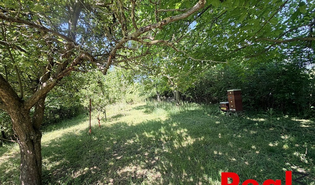 Prodej zahrady 2 459 m², Brno – náhled fotky 16