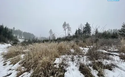 Prodej lesa 4 368 m², Vidochov - Stupná, okres Jičín