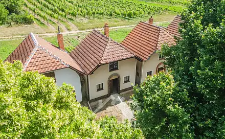 Prodej vinného sklepa 84 m2, Čejkovice, Čejkovice, okres Hodonín