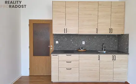 Prodej bytu 1+kk 29 m², Božetěchova, Brno - Královo Pole