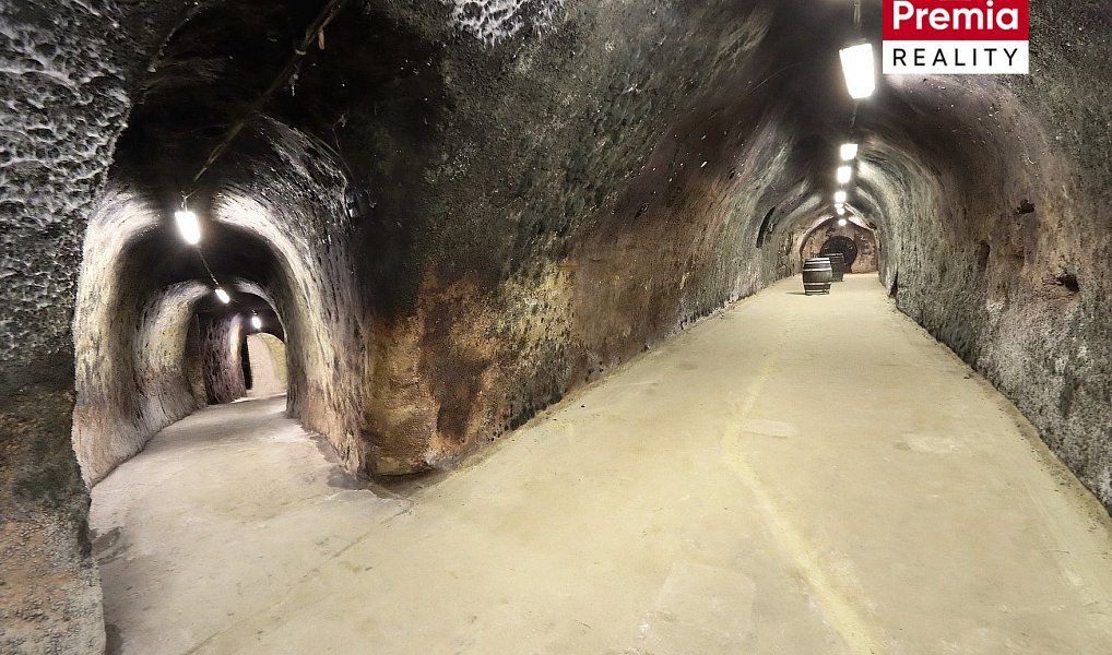 Prodej výrobních prostor 1 500 m², Nový Šaldorf-Sedlešovice – náhled fotky 9