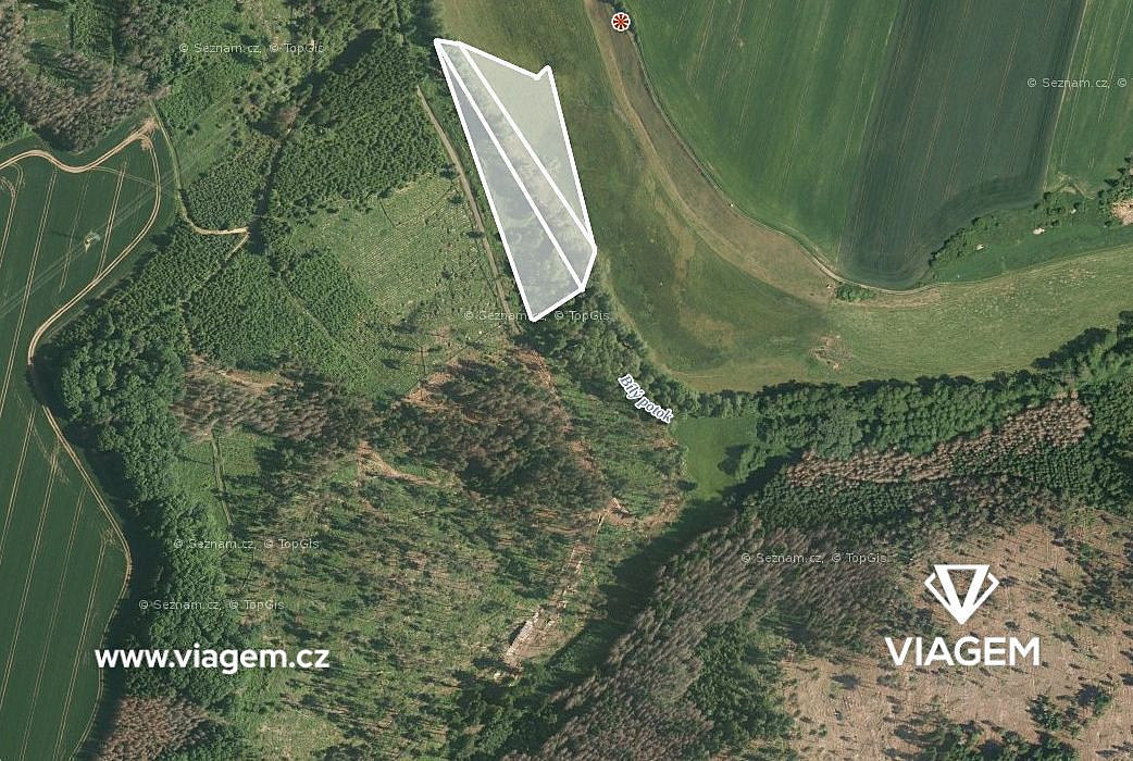 Prodej lesa 1 431 m²