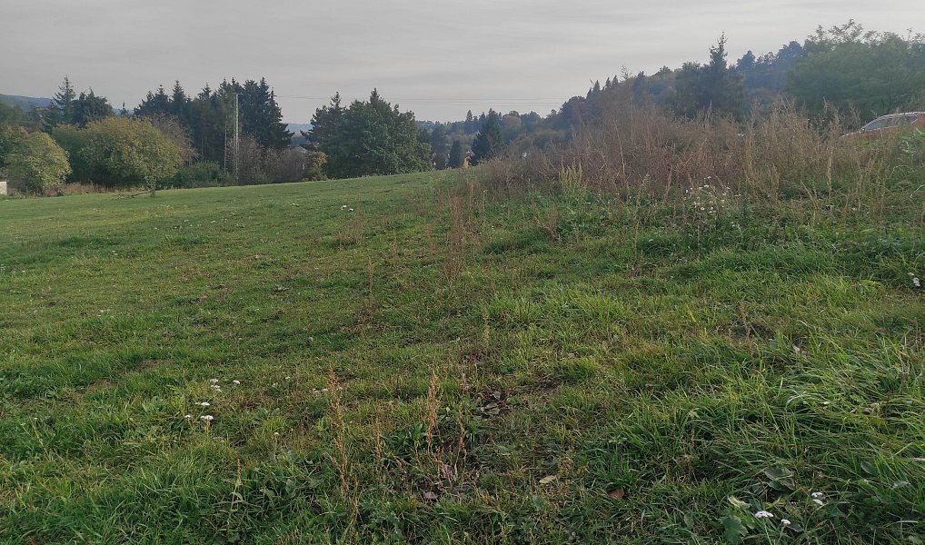 Pronájem zahrady 10 000 m², Mnichovice – náhled fotky 2