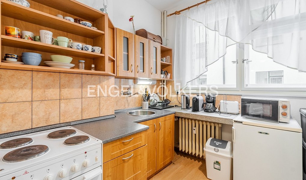Pronájem bytu 1+1 50 m², Praha – náhled fotky 4