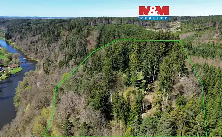 Prodej lesa 39 640 m², Řepeč, okres Tábor