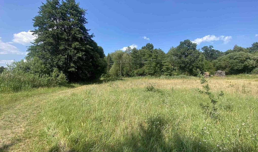 Prodej pozemku 2 756 m², Třeboň – náhled fotky 7