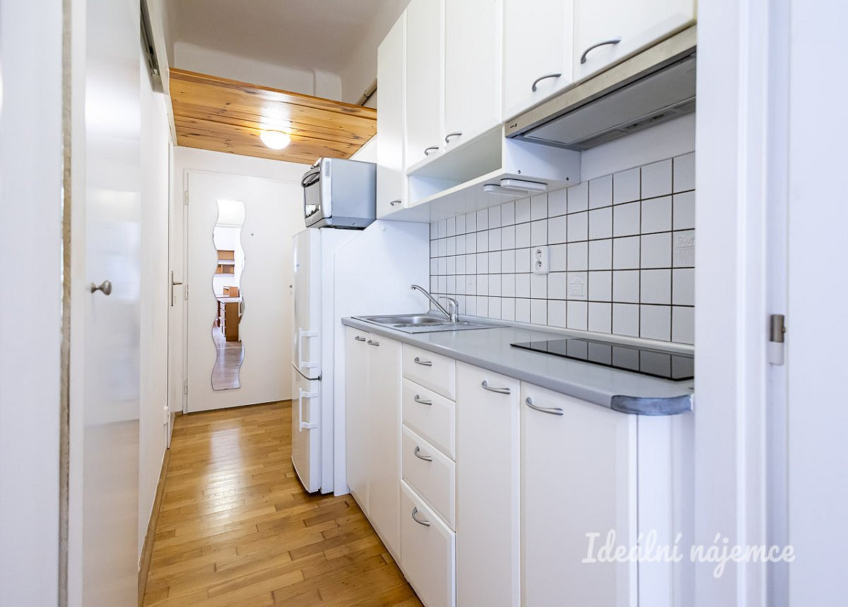 Pronájem bytu 1+kk 29 m² – fotografie 4