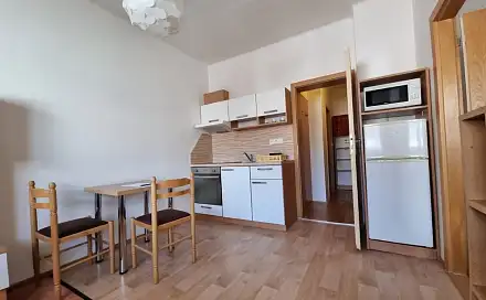 Pronájem bytu 1+1 32 m², Elgartova, Brno - Husovice