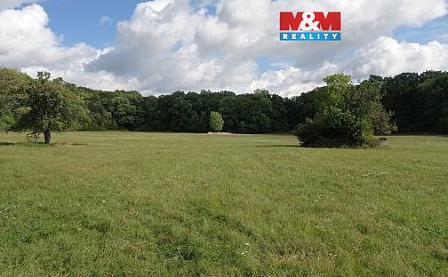 Prodej louky 16 692 m², Jenčice, okres Litoměřice