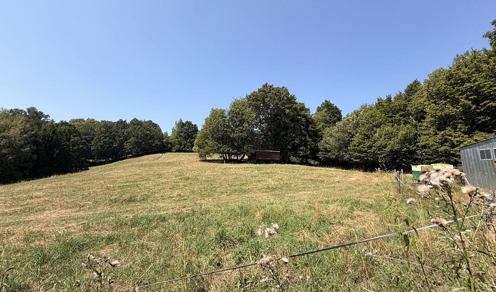 Prodej chaty/chalupy 60 m² s pozemkem 40 m², Zábřeh – náhled fotky 23