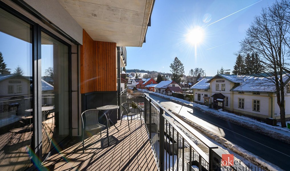 Prodej bytu 1+kk 53 m², Železná Ruda – náhled fotky 5