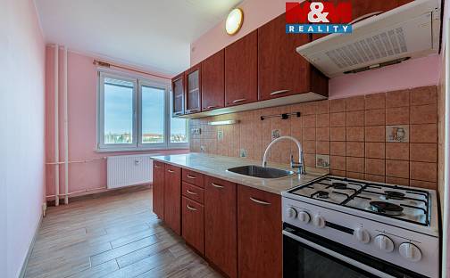 Pronájem bytu 2+1 59 m², Závodu míru, Sokolov