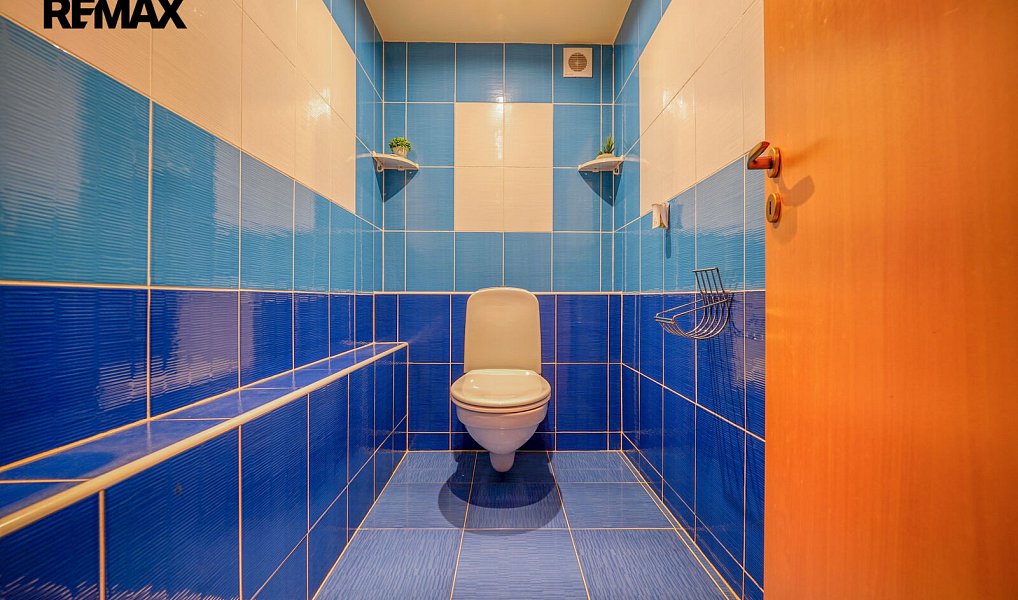 Prodej domu 323 m² s pozemkem 1 638 m², Bochov – náhled fotky 12