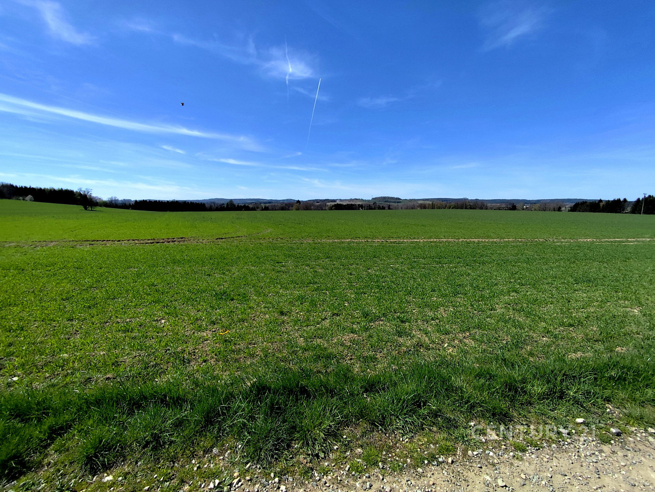 Prodej pole 40 119 m²