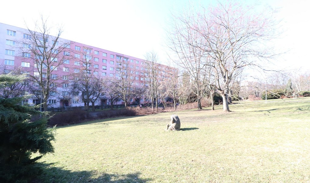 Pronájem bytu 1+kk, 19 m², Severní Terasa - Ústí nad Labem, Ústí nad Labem