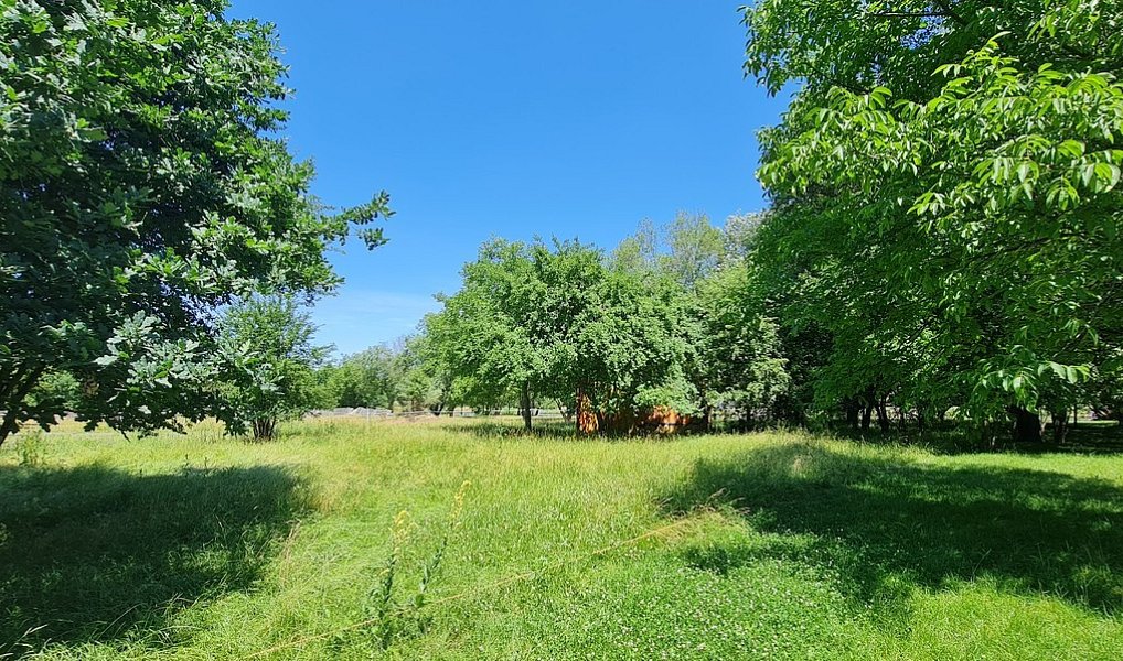 Prodej pozemku 10 828 m², Praha – náhled fotky 9