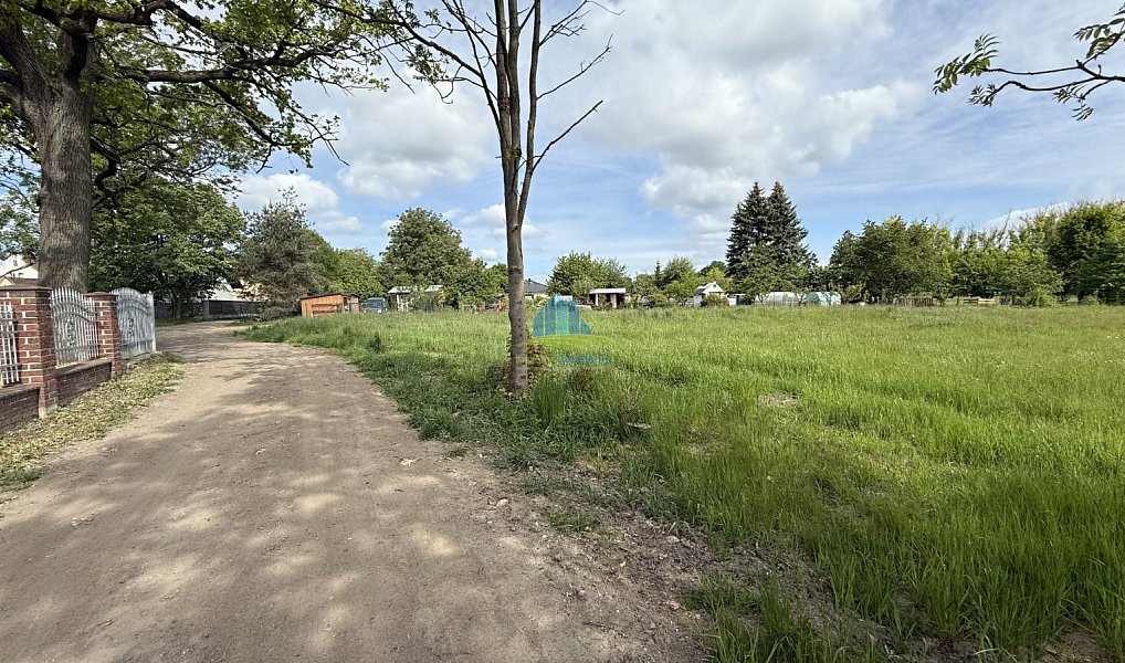 Prodej zahrady 1 146 m², Františkovy Lázně – náhled fotky 8