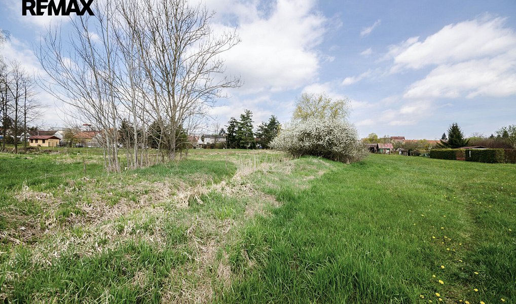 Prodej stavebního pozemku 9 720 m², Ševětín – náhled fotky 10