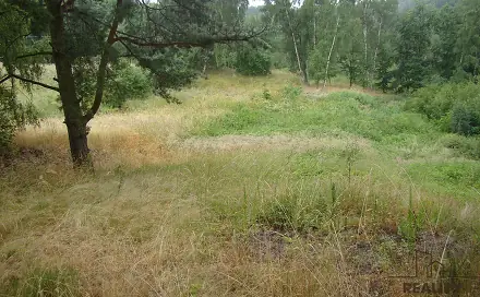 Prodej zahrady 2 000 m², Krušovice, okres Rakovník
