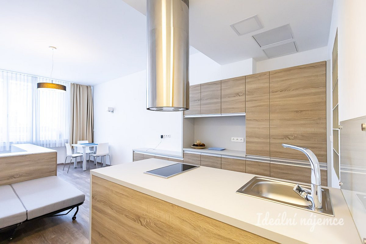 Pronájem bytu 1+kk 38 m²