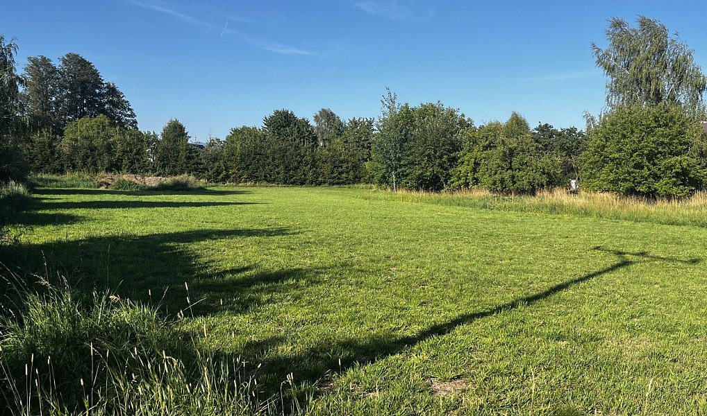 Prodej stavebního pozemku 1 496 m², Vikýřovice – náhled fotky 4
