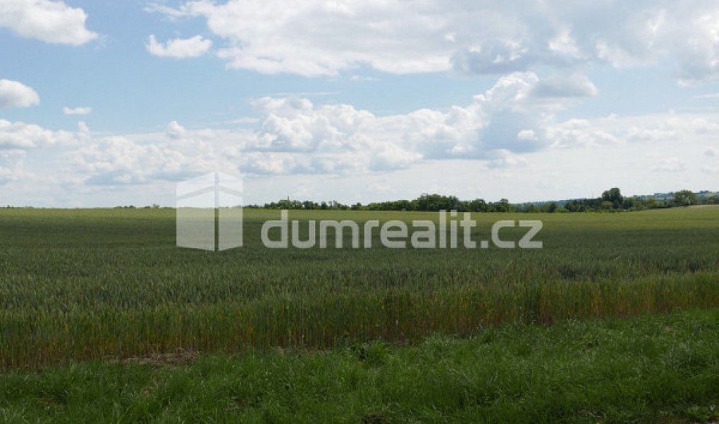 Prodej pole 11 679 m², Dolní Bousov – náhled fotky 4