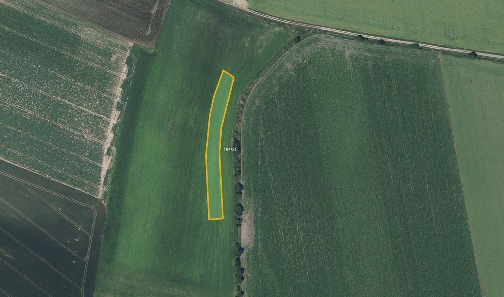 Prodej pole 12 333 m², Strašnov – náhled fotky 2