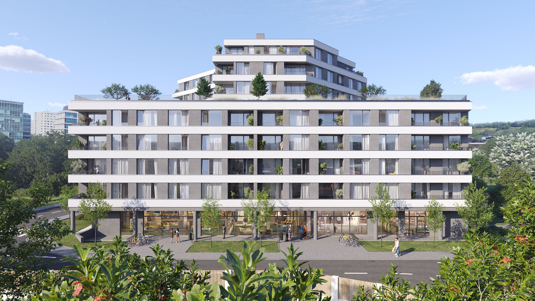 Pronájem obchodních prostor 274 m²