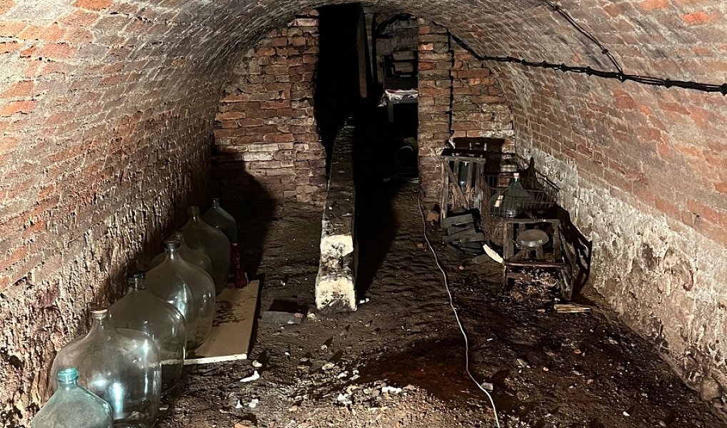 Prodej, vinný sklep s rodinným domem, 155 m2, Přítluky, Přítluky – náhled fotky 12